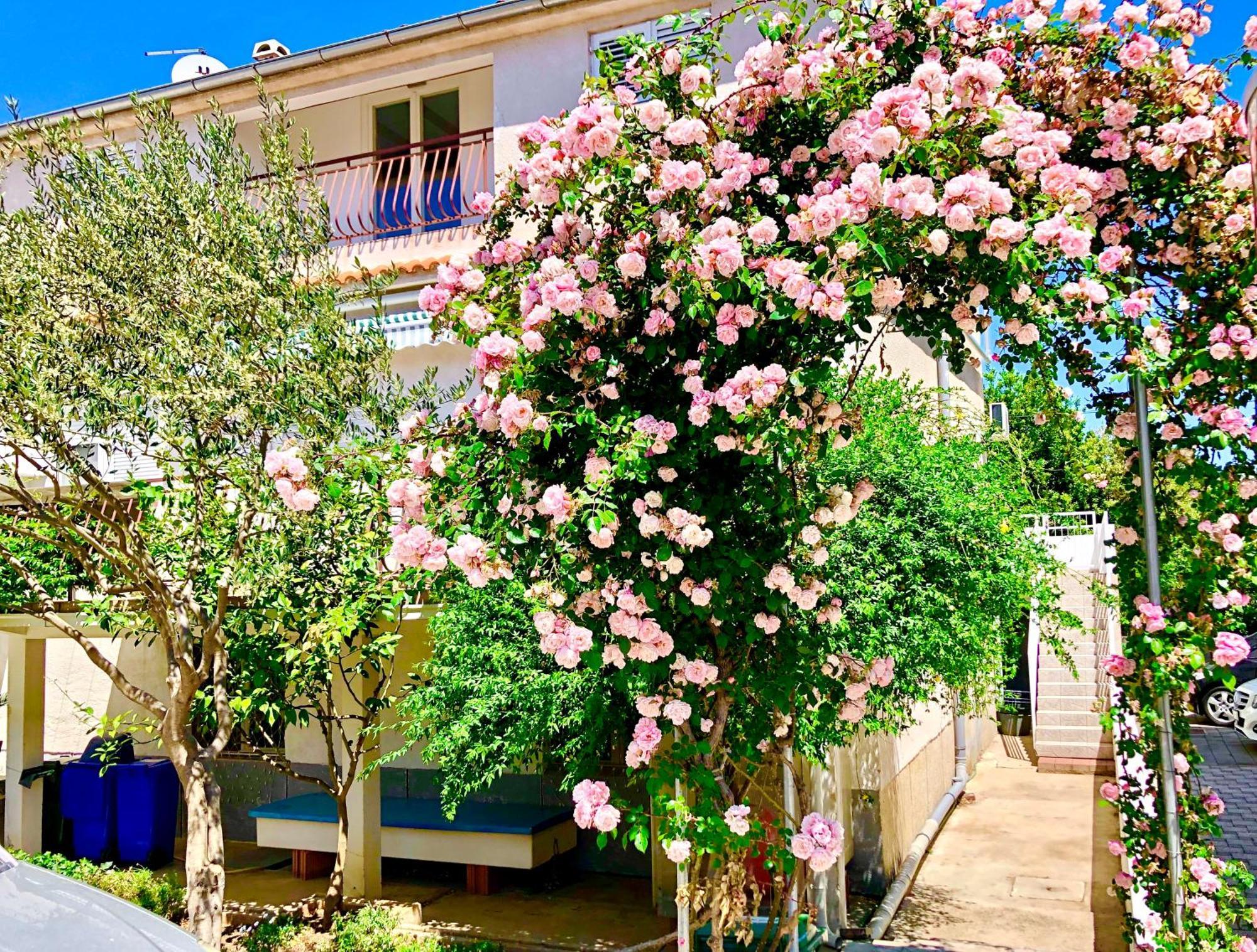 Apartments Cala Biograd Na Moru Pokój zdjęcie